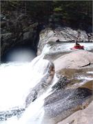 Tellico 22